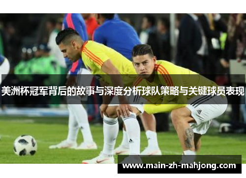 美洲杯冠军背后的故事与深度分析球队策略与关键球员表现 美洲杯冠军背后的故事与深度分析球队策略与关键球员表现
